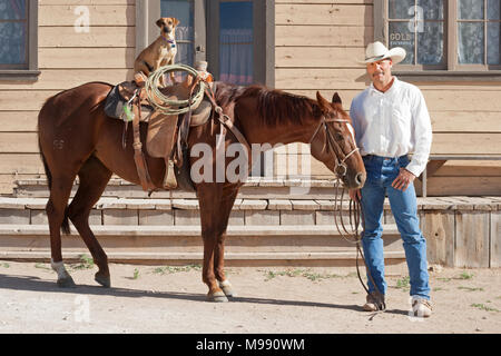 Cowboy with his horse and Jack Russell Terrier sitting in the saddle in old west town Stock Photo