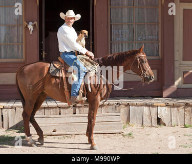 Cowboy on horseback sharing the saddle with his Jack Russell Terrier pet dog in old west town, Santa Fe, New Mexico Stock Photo