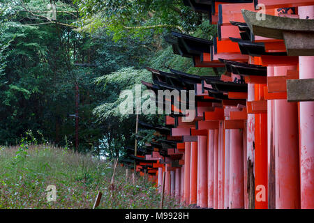 Red torii corridor in Fushimi Inari taisha, Kyoto Stock Photo