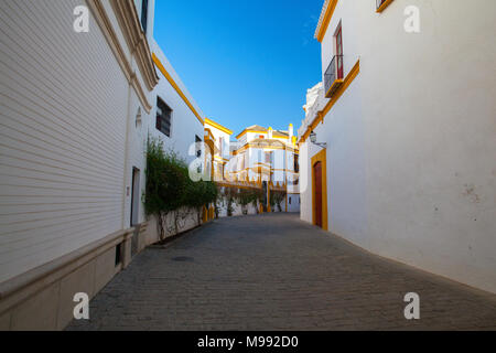 Seville, Spain - November 19,2016: Bullfight arena, plaza de toros at Sevilla.Seville Real Maestranza bullring plaza toros de Sevilla in Andalusia, Sp Stock Photo