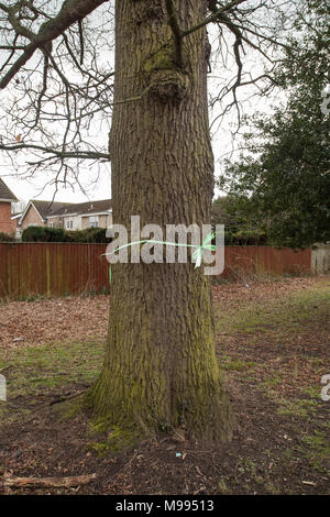 Blackwell residents angered over tree felling on Carmel Road South,Darlington,England,UK to build housing development. Stock Photo