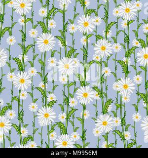 Seamless pattern from field chamomiles in the style of Provence. Spring Stock Vector