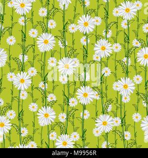 Seamless pattern from field chamomiles in the style of Provence. Summer Stock Vector