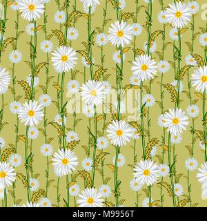 Seamless pattern from field chamomiles in the style of Provence. Autumn Stock Vector