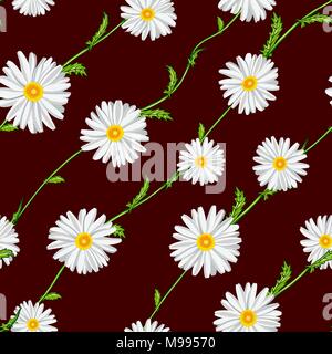 Seamless pattern from field chamomiles on stems diagonally on claret background Stock Vector