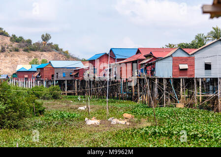 Houses made from corrugated iron on wooden stilts in a poor, rural village with a dirt track road in Cambodia. Stock Photo