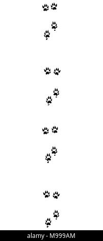Polecat tracks. Typical footprints with long claws - isolated black icon vector illustration on white background. Stock Photo
