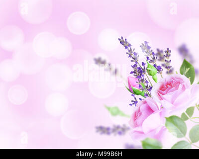 Pale pink antique roses and lavender bouquet in the corner of the blurred background Stock Photo