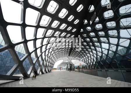 Shenzhen Bay Sports Center. Stock Photo