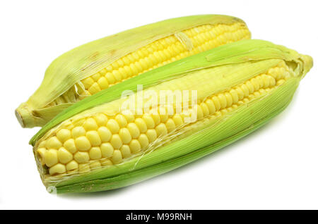 Ear of corn revealing yellow kernels. Grains of ripe corn photo of maize close-up Stock Photo