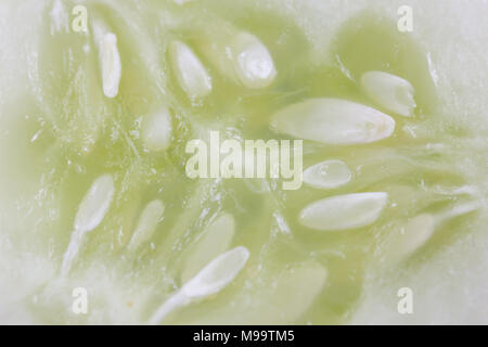 cucumber isolate on white background Stock Photo