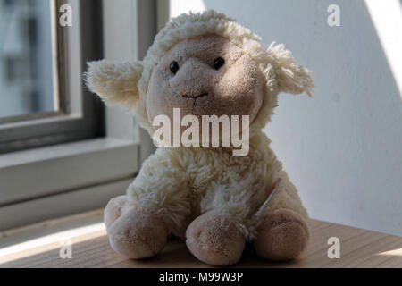 Lamb (sheep) and penguin toy sitting by the window in shadows Stock Photo
