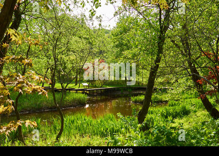 Beautiful natural view of secluded nature with wooden bridge going over a pond reflecting the surroundings. Stock Photo