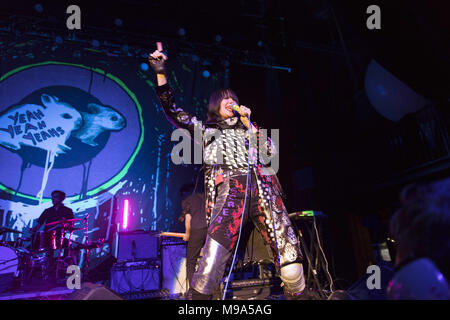 October 25, 2017 - THE YEAH YEAH YEAHS perform at the Fonda Theatre in Hollywood, CA, celebrating the reissue of their record Fever To Tell (Credit Image: © Greg Chow via ZUMA Wire) Stock Photo