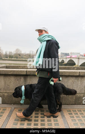 London UK. 24th March 2018.  A man walks his dog wearing the colours of Cambridge university Credit: amer ghazzal/Alamy Live News