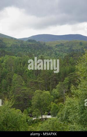 Glen Affric, often described as the most beautiful glen in Scotland, contains one of the largest ancient Caledonian pinewoods in Scotland. Stock Photo