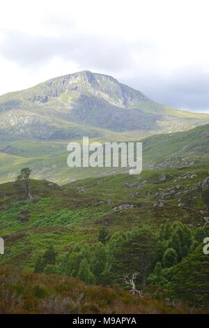 Glen Affric, often described as the most beautiful glen in Scotland, contains one of the largest ancient Caledonian pinewoods in Scotland. Stock Photo