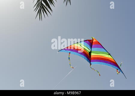 kite in flight in the blue sky near the beachfront Stock Photo