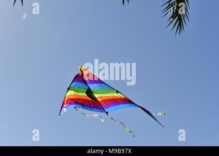 kite in flight in the blue sky near the beachfront Stock Photo