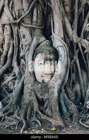 Buddha statue trapped in tree roots at Wat Maha That, Ayutthaya, Thailand Stock Photo