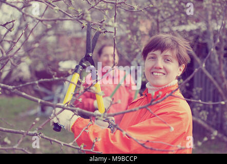 Two women pruning apple tree in the orchard Stock Photo