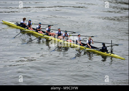 Keble College Oxford Star Bra – Stitch Rowing