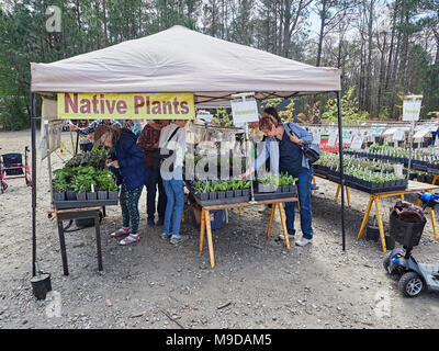 People shop for garden plants and flowers at the Spring plant and flower sale in Callaway Gardens, Pine Mountain GA, USA. Stock Photo