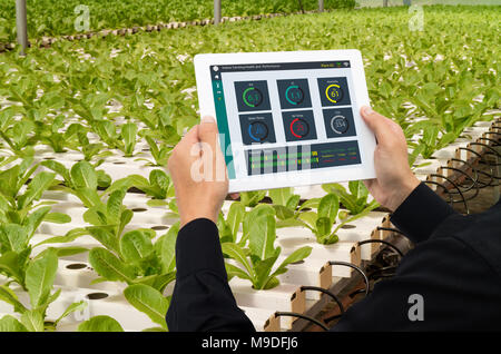 iot smart industry robot 4.0 agriculture concept,industrial agronomist,farmer using tablet to monitor, control the condition in vertical or indoor far Stock Photo