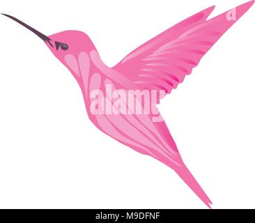 vector illustration of a hummingbird isolated on white background Stock Vector