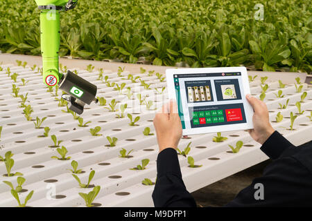 iot smart industry robot 4.0 agriculture concept,industrial agronomist,farmer using software Artificial intelligence technology in tablet to monitorin Stock Photo