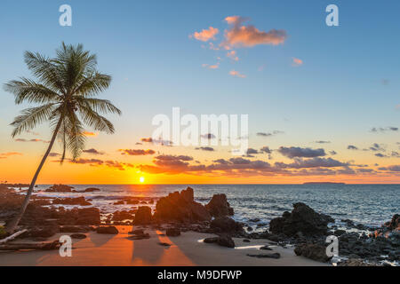 Silhouette of a tropical palm tree at sunset along the tranquil Pacific Ocean inside Corcovado national park, Osa Peninsula, Costa Rica. Stock Photo