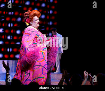 Harvey Fierstein during the final performance curtain call for HAIRSPRAY ( The winner of Eight Tony Awards, finishing it's run of 2.641 performances as the 19th Longest-running show in Broadway History ) at the Neil Simon Theatre in New York City. January 4, 2009 Credit:  Walter McBride / MediaPunch Stock Photo