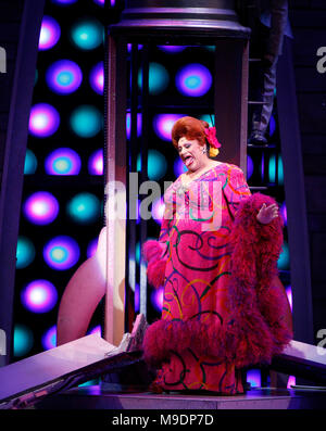 Harvey Fierstein during the final performance curtain call for HAIRSPRAY ( The winner of Eight Tony Awards, finishing it's run of 2.641 performances as the 19th Longest-running show in Broadway History ) at the Neil Simon Theatre in New York City. January 4, 2009 Credit:  Walter McBride / MediaPunch Stock Photo