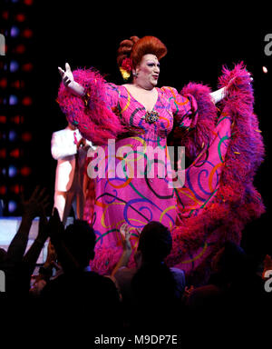 Harvey Fierstein during the final performance curtain call for HAIRSPRAY ( The winner of Eight Tony Awards, finishing it's run of 2.641 performances as the 19th Longest-running show in Broadway History ) at the Neil Simon Theatre in New York City. January 4, 2009 Credit:  Walter McBride / MediaPunch Stock Photo