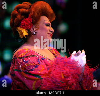 Harvey Fierstein during the final performance curtain call for HAIRSPRAY ( The winner of Eight Tony Awards, finishing it's run of 2.641 performances as the 19th Longest-running show in Broadway History ) at the Neil Simon Theatre in New York City. January 4, 2009 Credit:  Walter McBride / MediaPunch Stock Photo