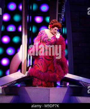 Harvey Fierstein during the final performance curtain call for HAIRSPRAY ( The winner of Eight Tony Awards, finishing it's run of 2.641 performances as the 19th Longest-running show in Broadway History ) at the Neil Simon Theatre in New York City. January 4, 2009 Credit:  Walter McBride / MediaPunch Stock Photo