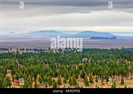 43,069.07799 distant Fort Rock State Park ancient lava cone, flow (far right), struggling Ponderosa pine trees forest creep into Oregon high desert Stock Photo