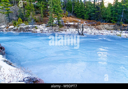 Frozen conifer and icy water Stock Photo - Alamy