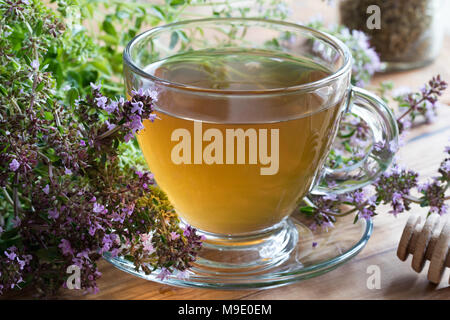 A cup of Breckland thyme (thymus serpyllum) tea, with fresh blooming Breckland thyme on a wooden background Stock Photo