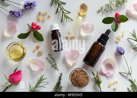 Bottles of essential oil with rosemary, thyme, creeping thyme, wintergreen, lavender, myrrh, frankincense, rose buds and rose petals on a white backgr Stock Photo