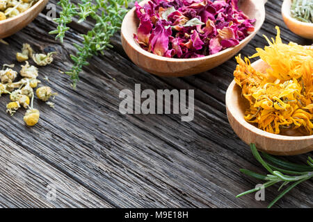 Selection of herbs on spoons on a wooden background with copy space. Dried calendula, rose petals, chamomile, fresh rosemary and thyme. Stock Photo
