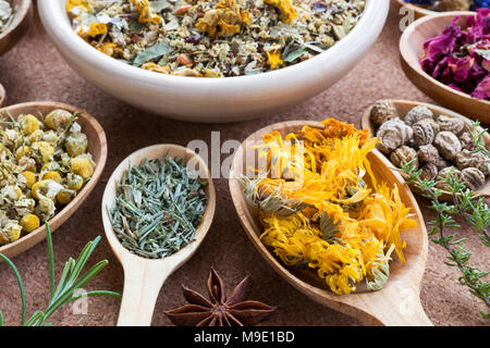 Dried calendula on a wooden spoon, with other herbs in the background (chamomile, horsetail, nasturtium seeds) Stock Photo