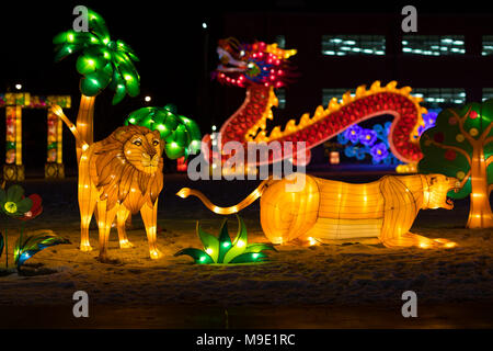 Indianapolis, Indiana, USA - January 07, 2018 - The Chinese Lantern Festival  with different sets of large lantern displays, is a festival of Chinese  Stock Photo