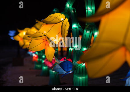 Indianapolis, Indiana, USA - January 07, 2018 - The Chinese Lantern Festival  with different sets of large lantern displays, is a festival of Chinese  Stock Photo