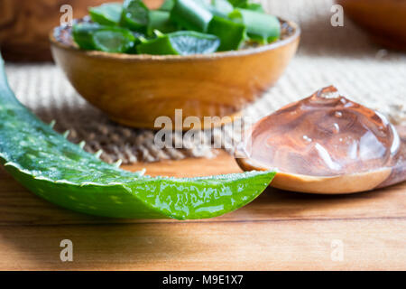 Aloe vera leaf, with aloe vera gel and slices in the background Stock Photo