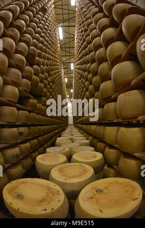 Parmesan cheese storage in Reggio Emilia, Italy Stock Photo - Alamy