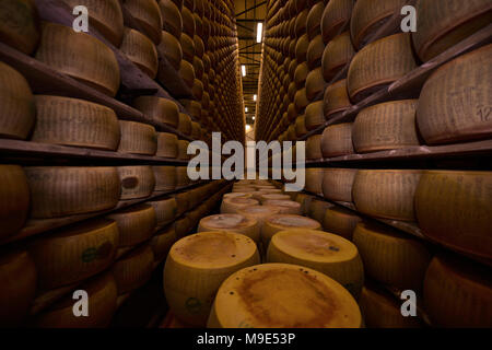 Parmesan cheese storage in Reggio Emilia, Italy Stock Photo - Alamy