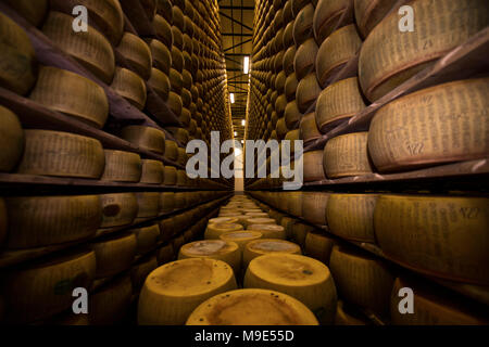 https://l450v.alamy.com/450v/m9e55d/parmesan-cheese-storage-in-reggio-emilia-italy-m9e55d.jpg