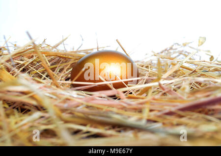 Golden egg on a bed of straw. Stock Photo