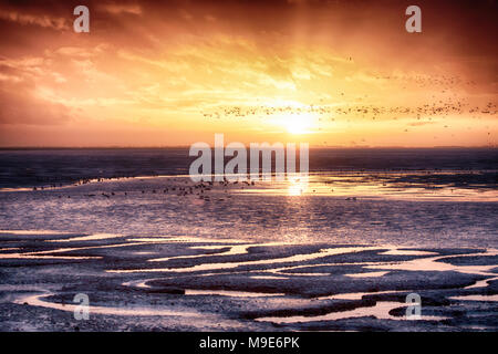 Beautiful sunset with the oceans tide coming in and large flocks of wild birds. Located on the East coast in Norfolk England famous for its wildlife a Stock Photo